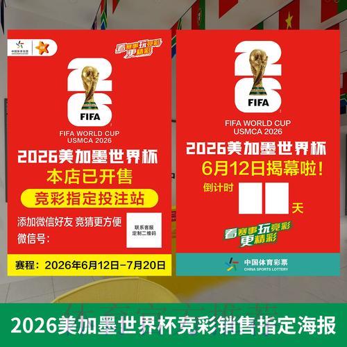 世界杯投注专家意见与分析报告